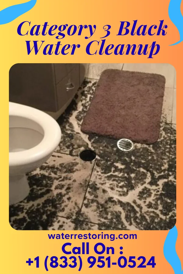Category 3 Black Water Cleanup in Bolindale, OH