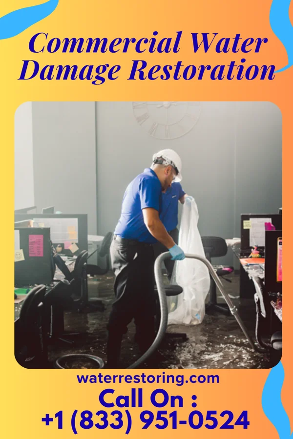 Commercial Water Damage Restoration in Bolindale, OH