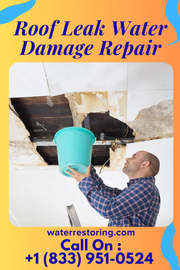 Roof Leak Water Damage Repair in Bolindale, OH