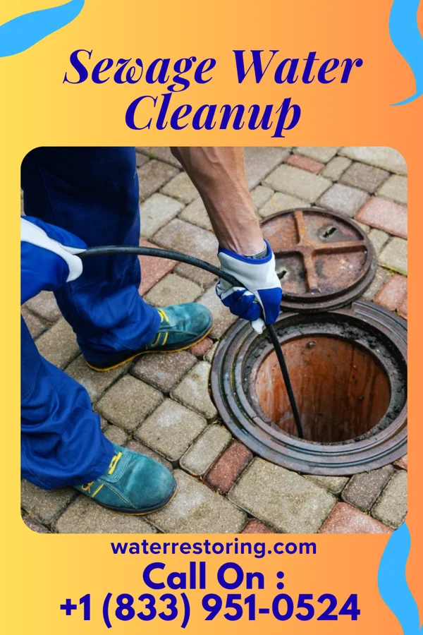 Sewage Water Cleanup in Bolindale, OH