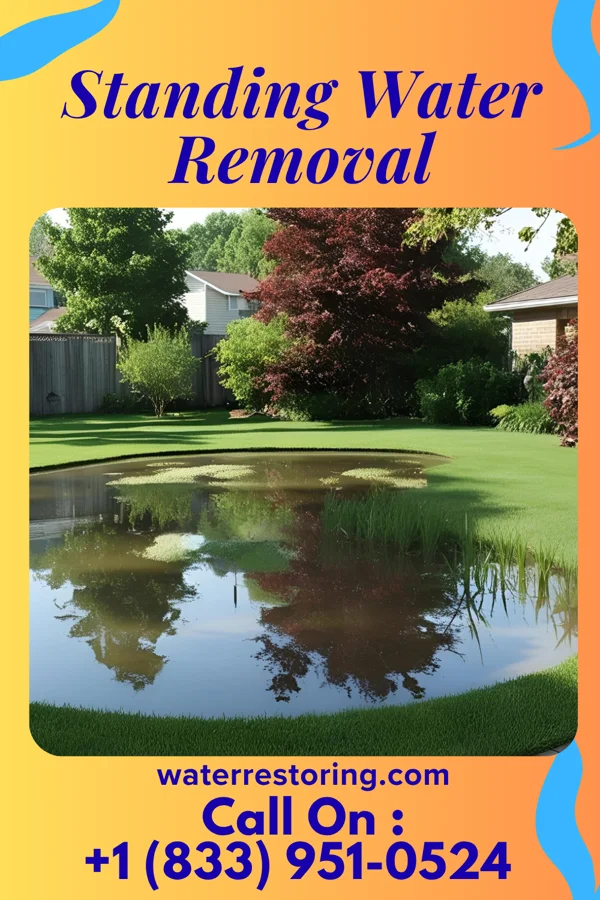 Standing Water Removal in Bolindale, OH